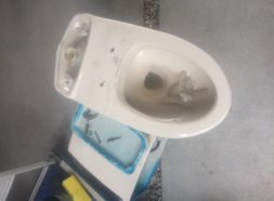 トイレ交換工事のイメージ